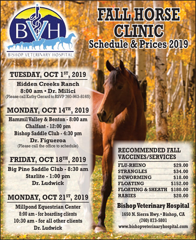 FRIDAY, OCTOBER 11, 2019 Ad - Bishop Veterinary Hospital ...